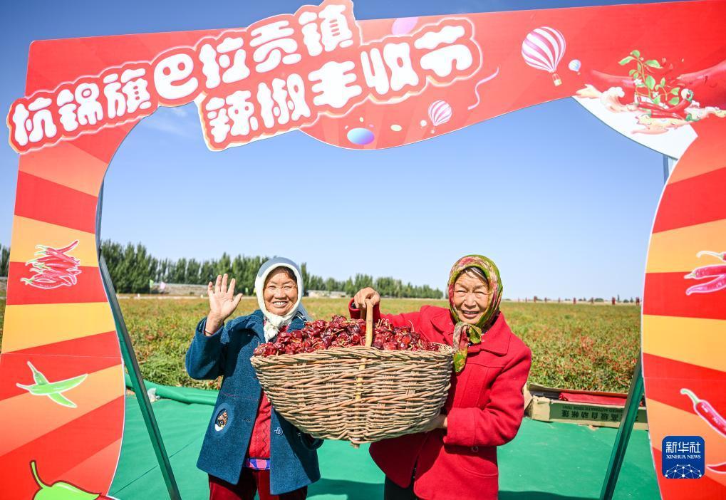 澳门大家乐怎么玩